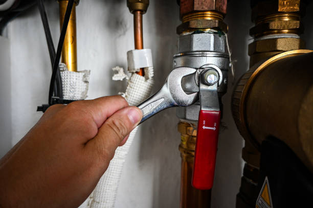 Best Affordable Plumber Near Me  in Meadowdale, WA